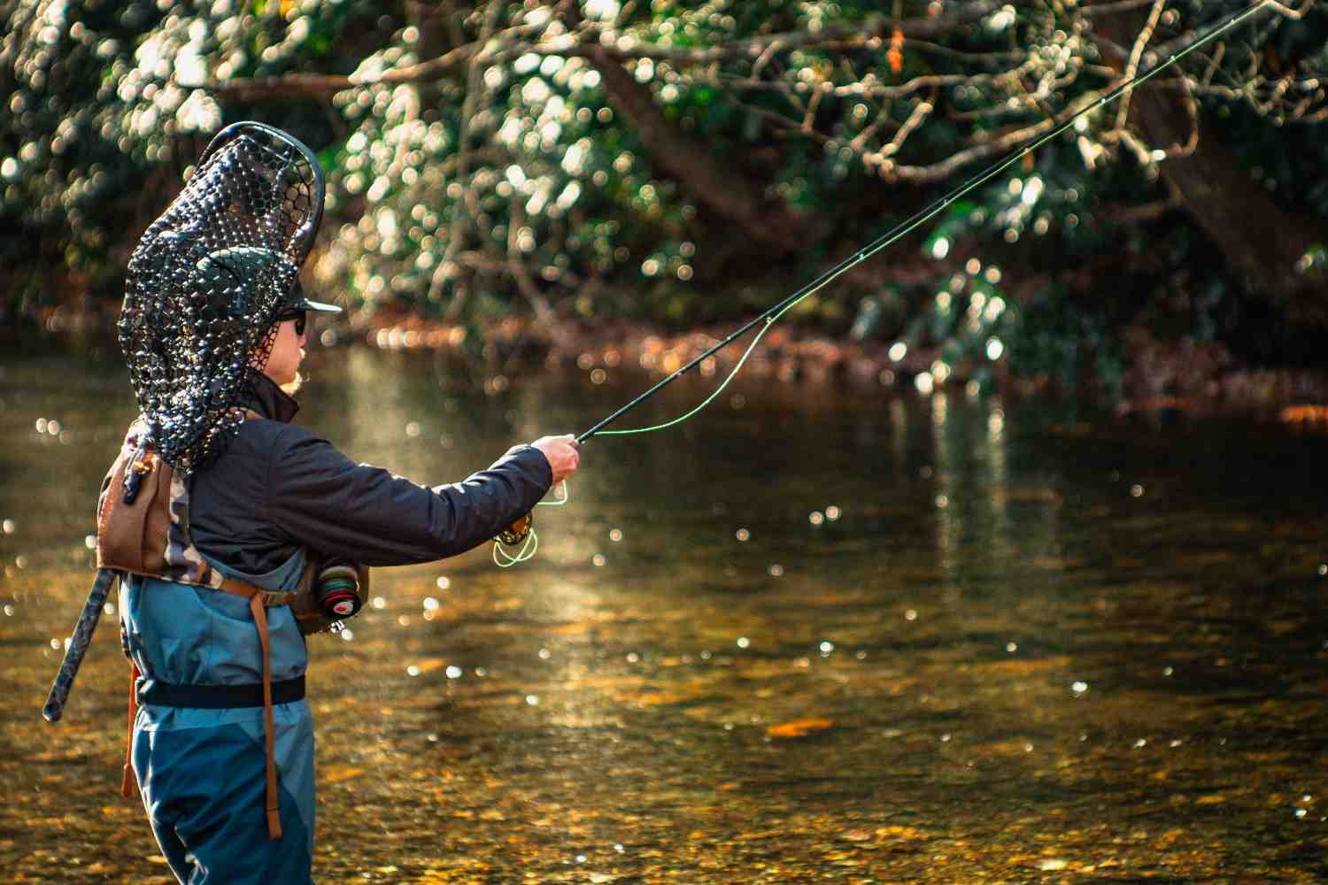 NC camping and fishing in the Appalachian mountains